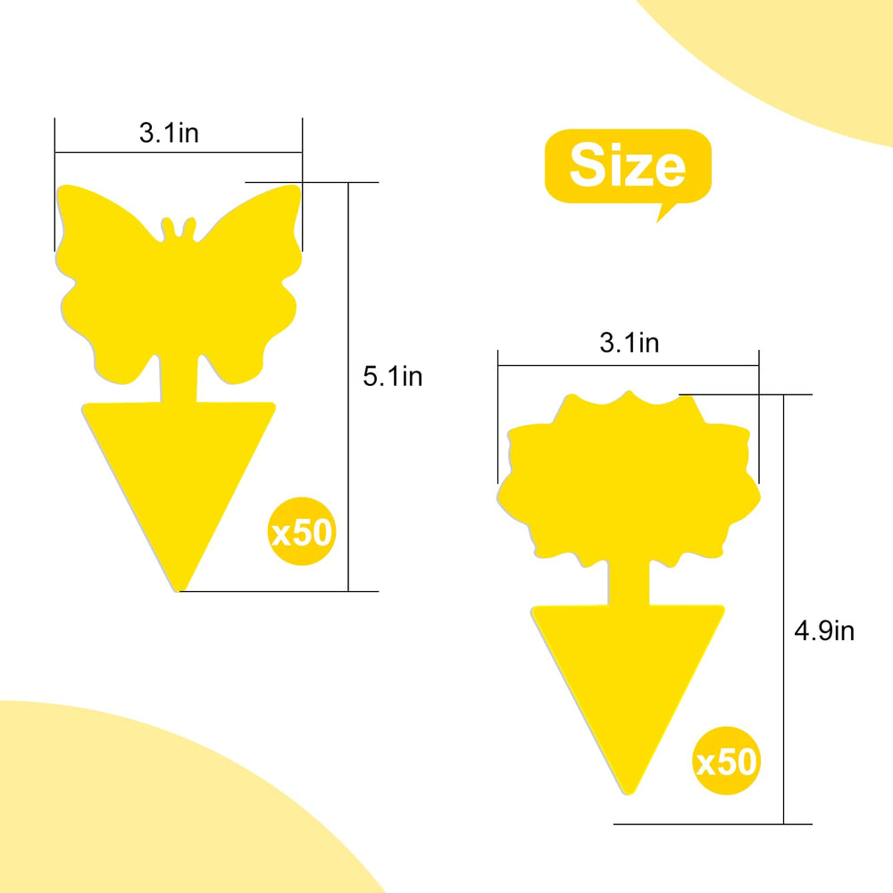 Boromine sticky traps showing double-sided adhesive