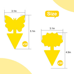 Boromine sticky traps showing double-sided adhesive