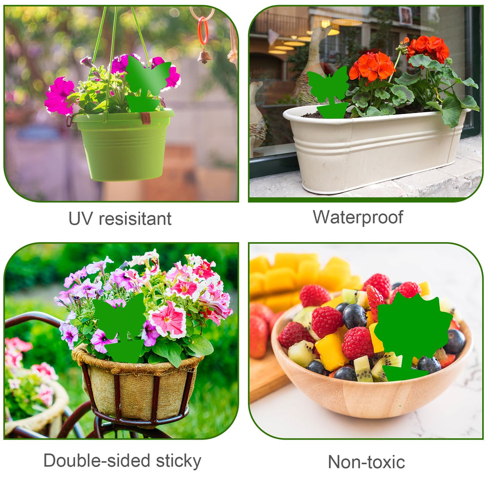 Boromine traps used in a greenhouse setting