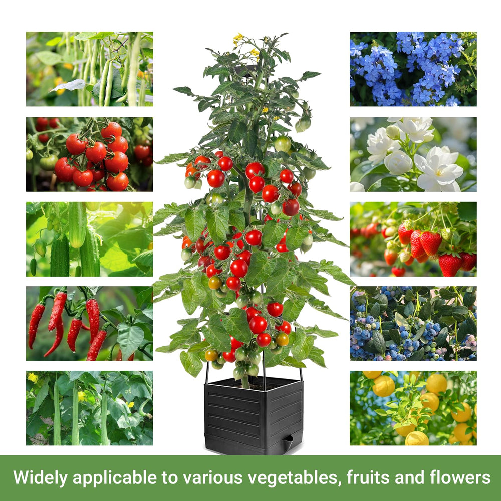 BOTINDO Tomato Planter in a garden setting