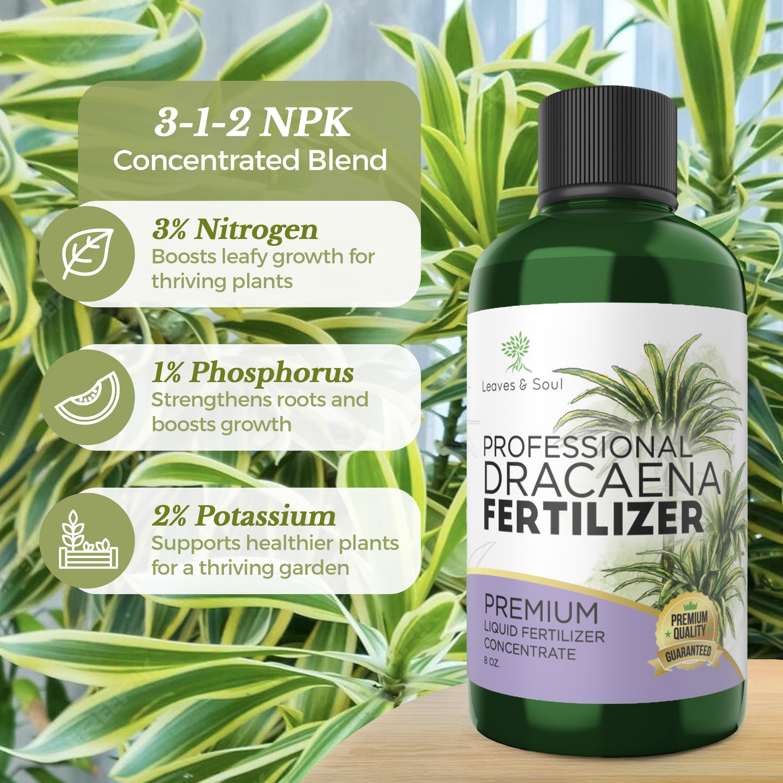 Bottle of Leaves and Soul Dracaena Plant Fertilizer with plants in background