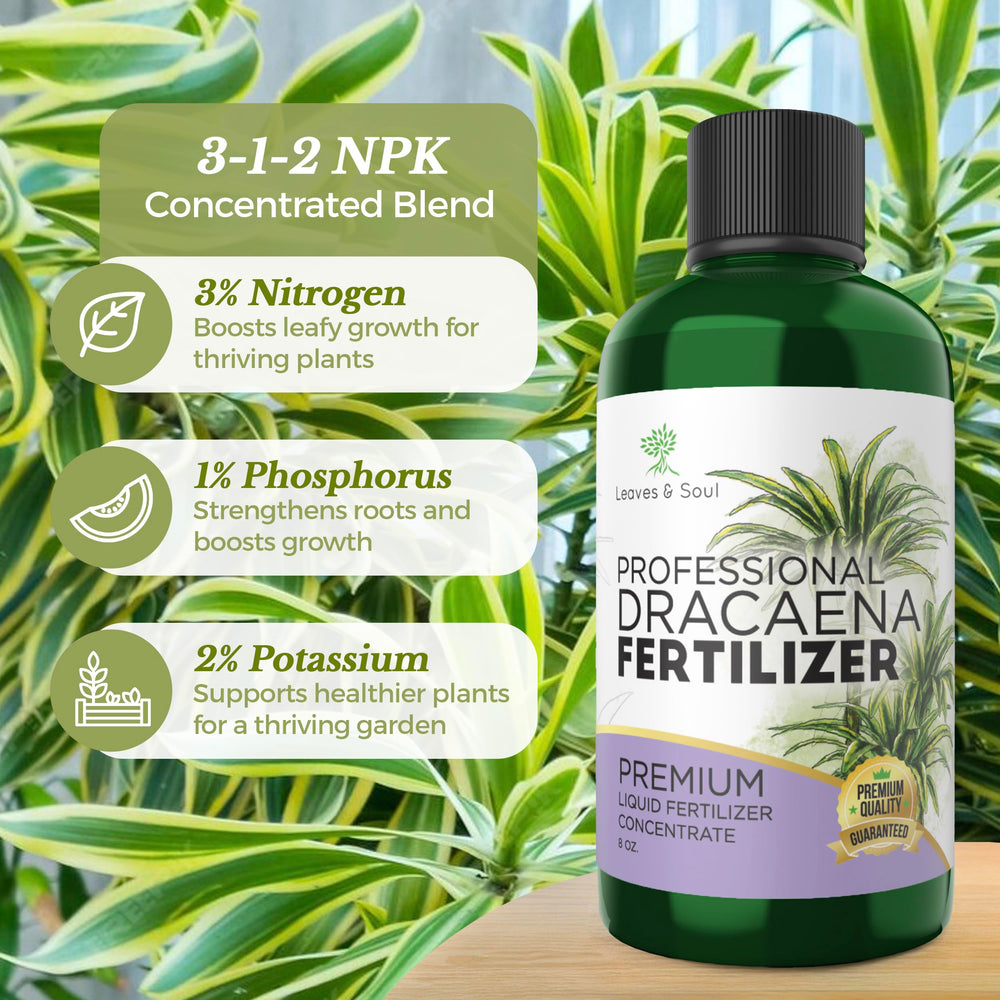 Bottle of Leaves and Soul Dracaena Plant Fertilizer with plants in background