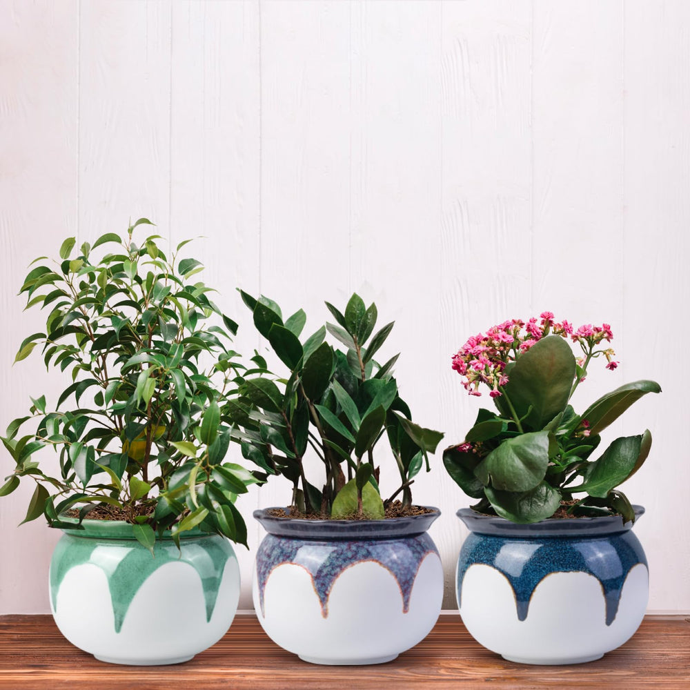 Bottom view of LITUDISO Self Watering African Violet Pot showing micro-holes
