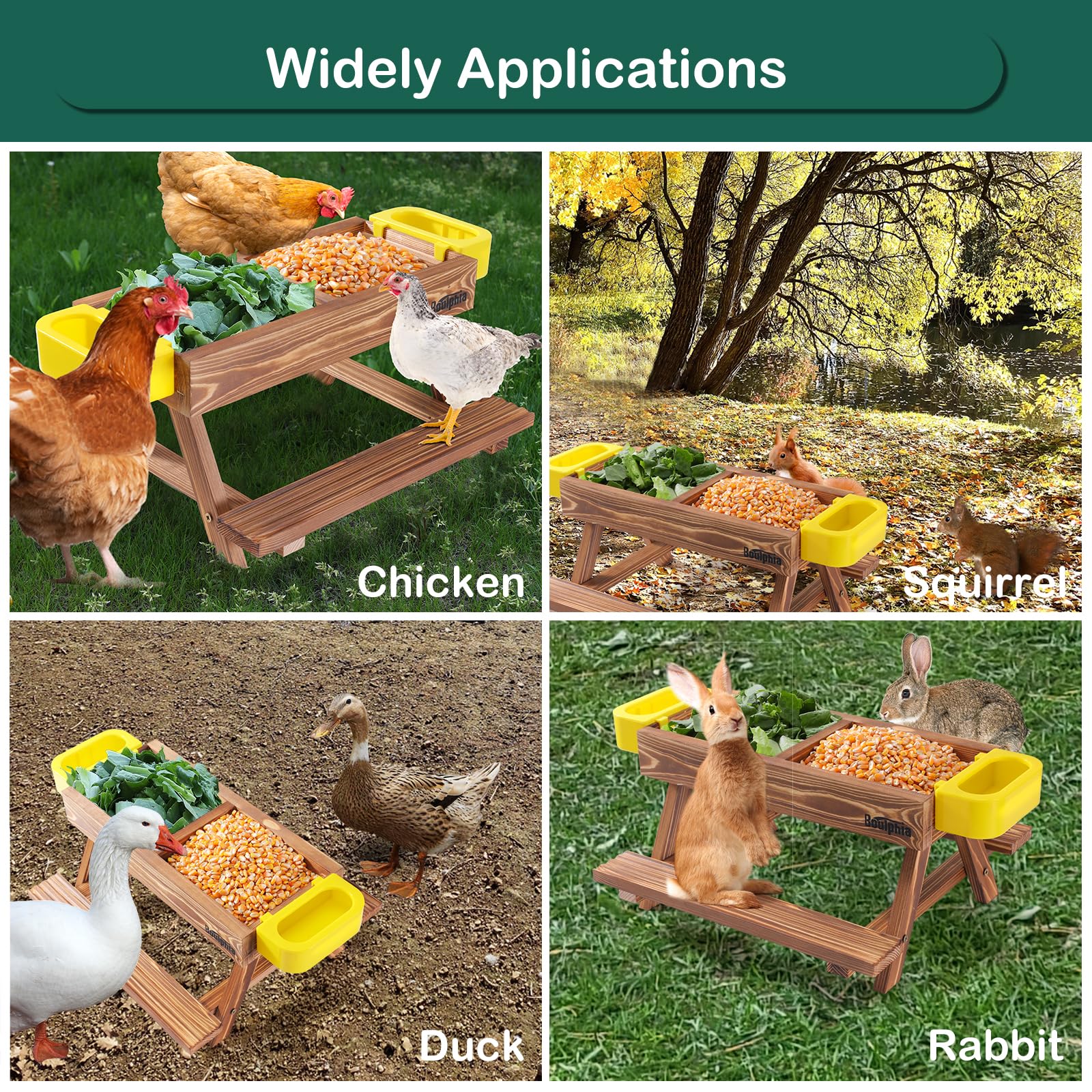 Boulphia chicken feeder in a backyard setting