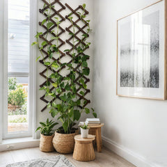 Bounmer Expandable Garden Trellis installed as wall decoration