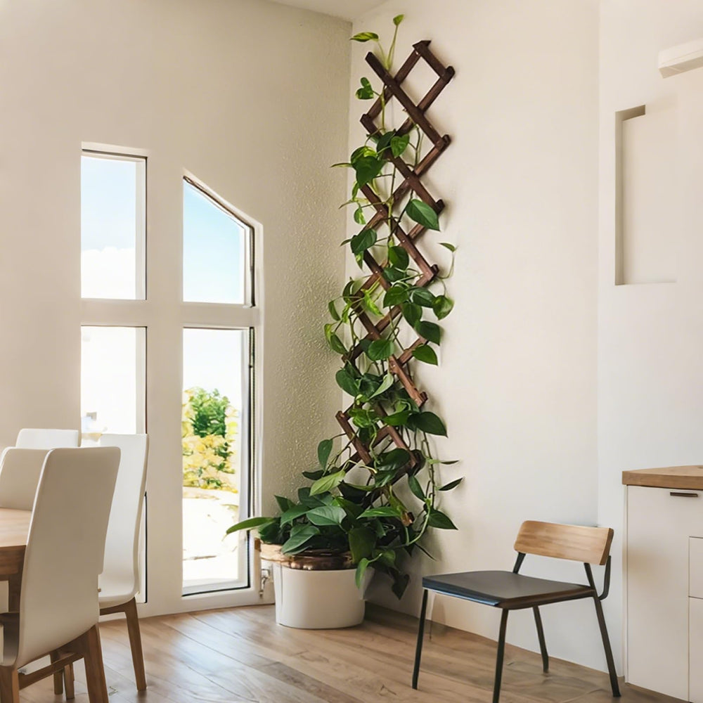 Bounmer Expandable Garden Trellis packaging view