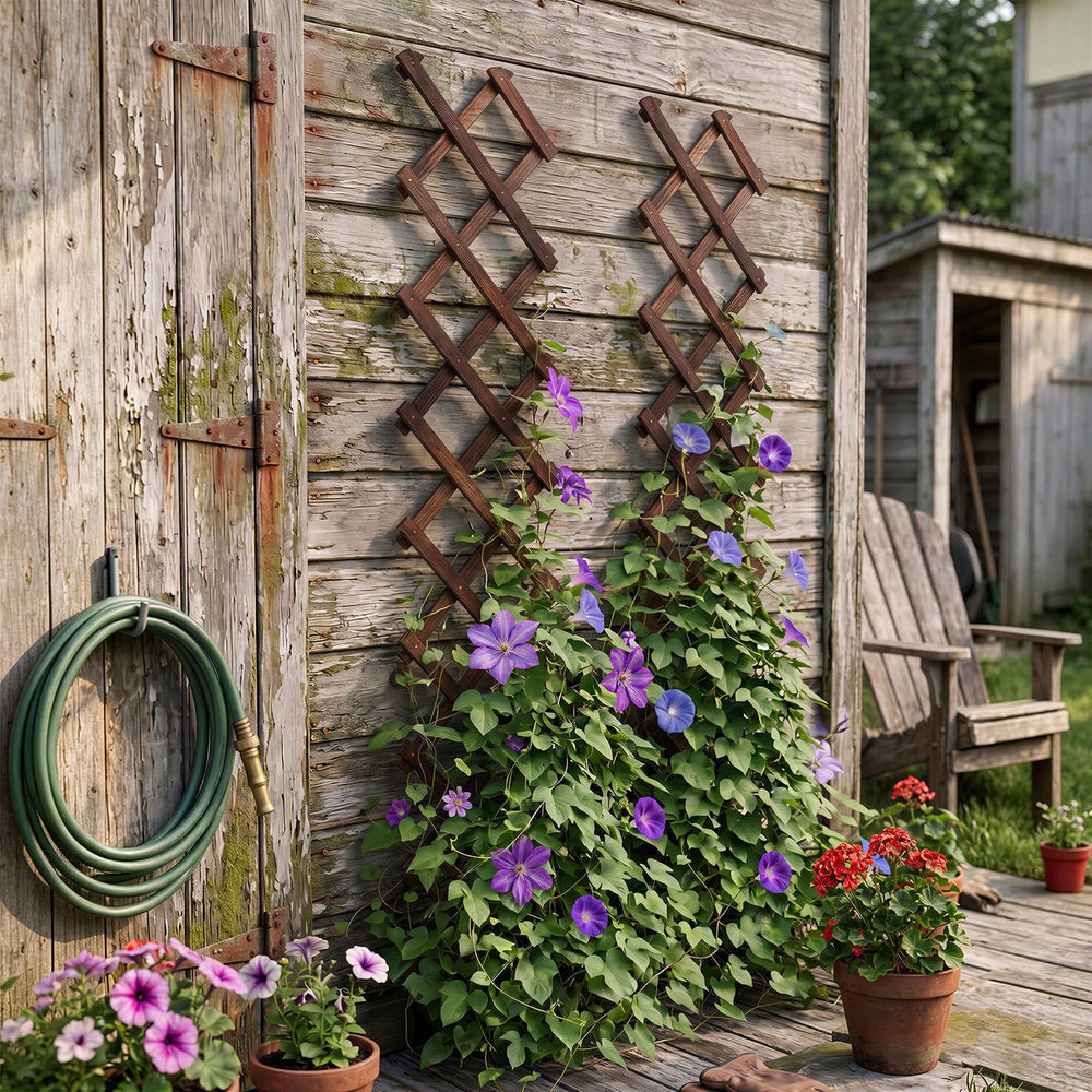Bounmer Expandable Garden Trellis showing its adjustable features