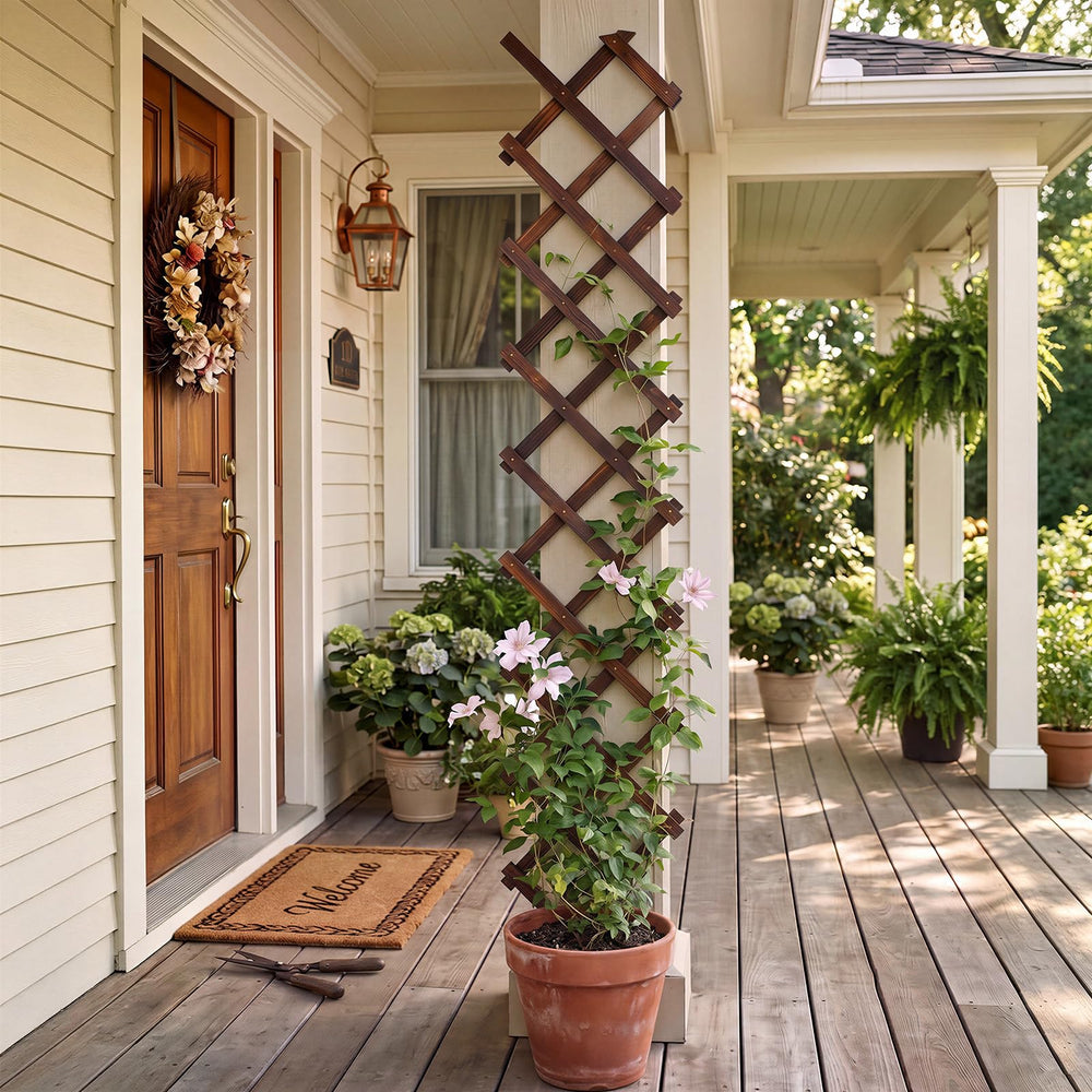 Bounmer Expandable Garden Trellis side view showcasing cedar wood