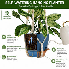 Bouqlife dusty blue macrame hanging planter in living room