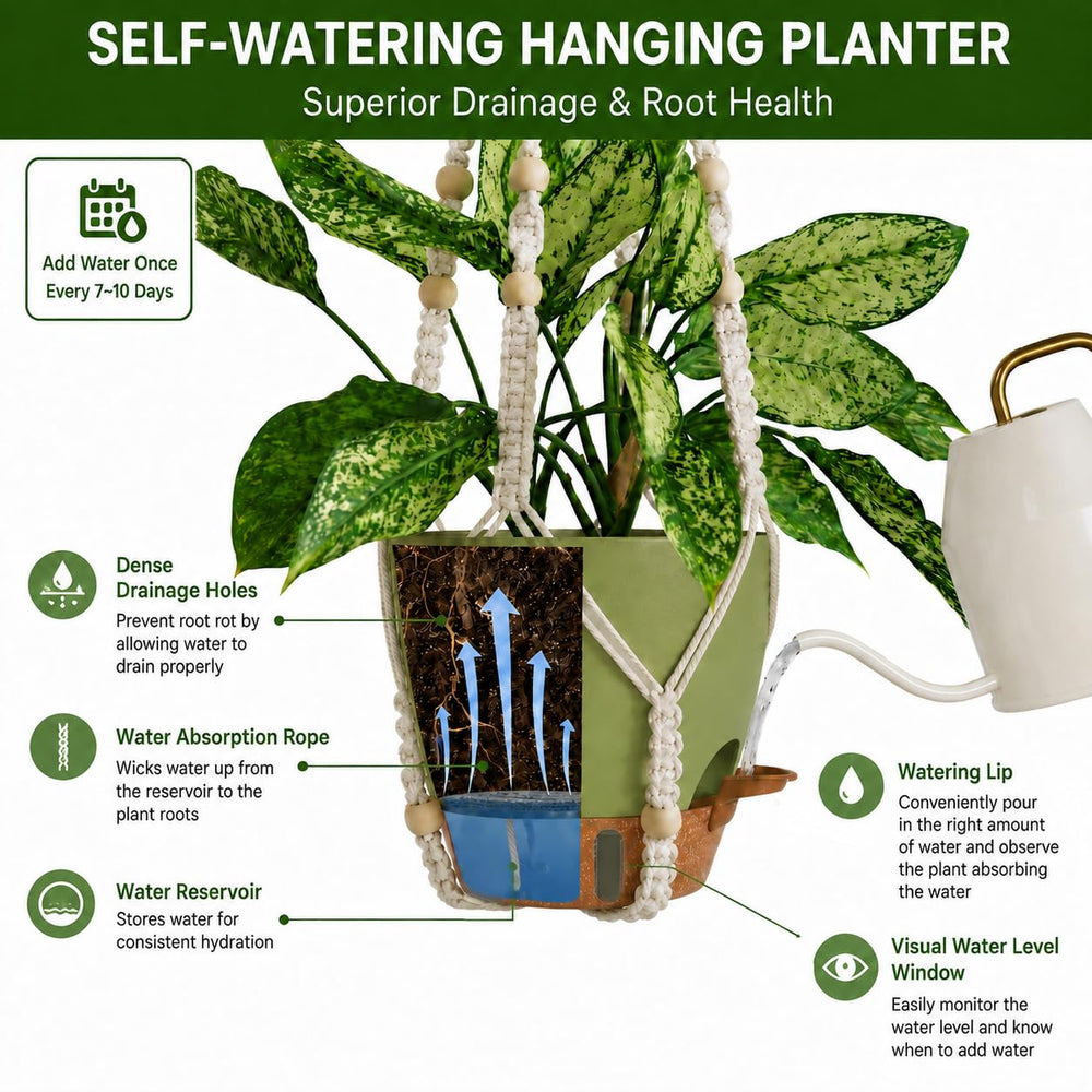 Bouqlife Hanging Planters displayed in a bright kitchen