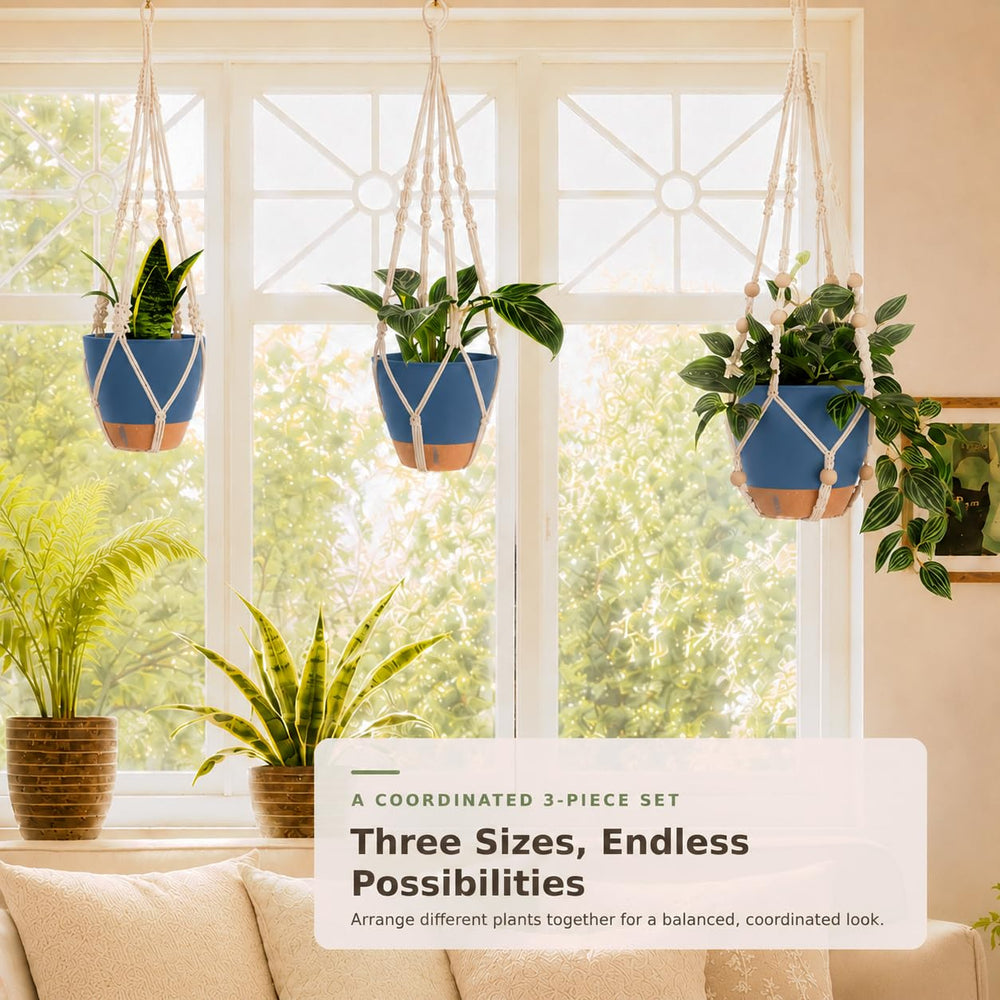Bouqlife hanging planters showcasing different plant types