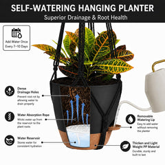 Bouqlife macrame hangers in different lengths displayed with plants