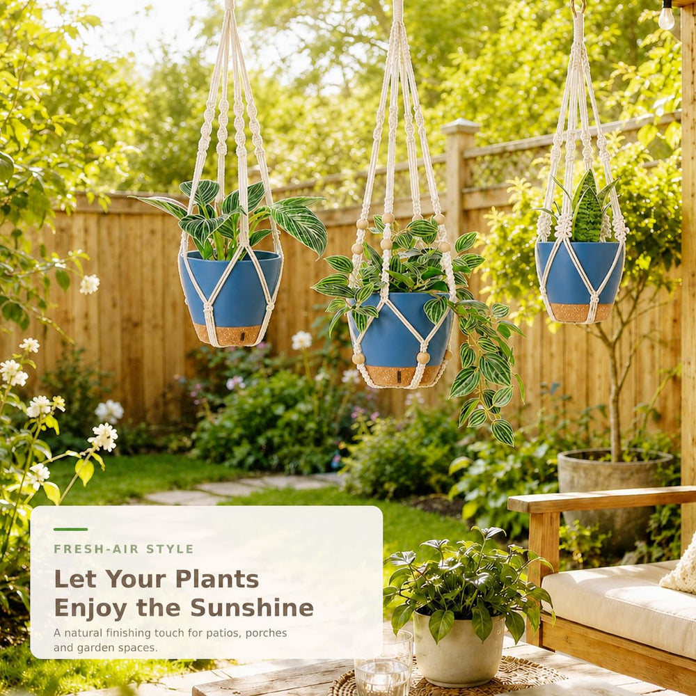 Bouqlife macrame hangers with plants displayed indoors