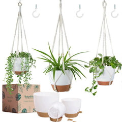 Bouqlife self watering hanging planter 10 inch with macrame hanger