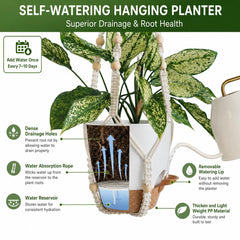 Bouqlife self-watering pots in white with hooks