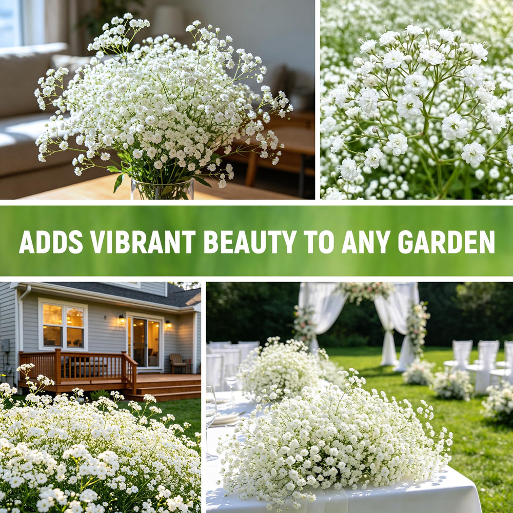 Bouquet arrangement featuring Baby's Breath flowers