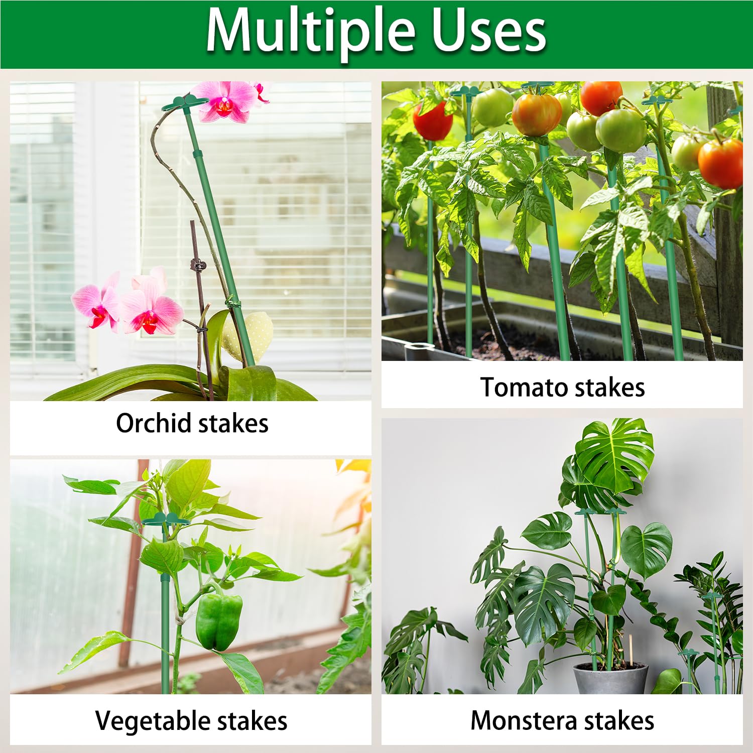 BOVITRO plant stakes in packaging for sale