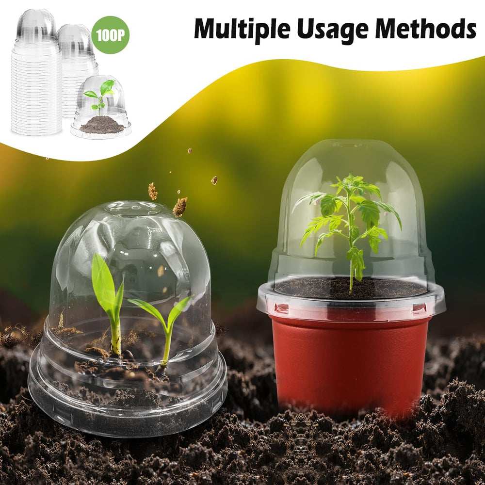 Box of RooTrimmer humidity domes with clear labeling