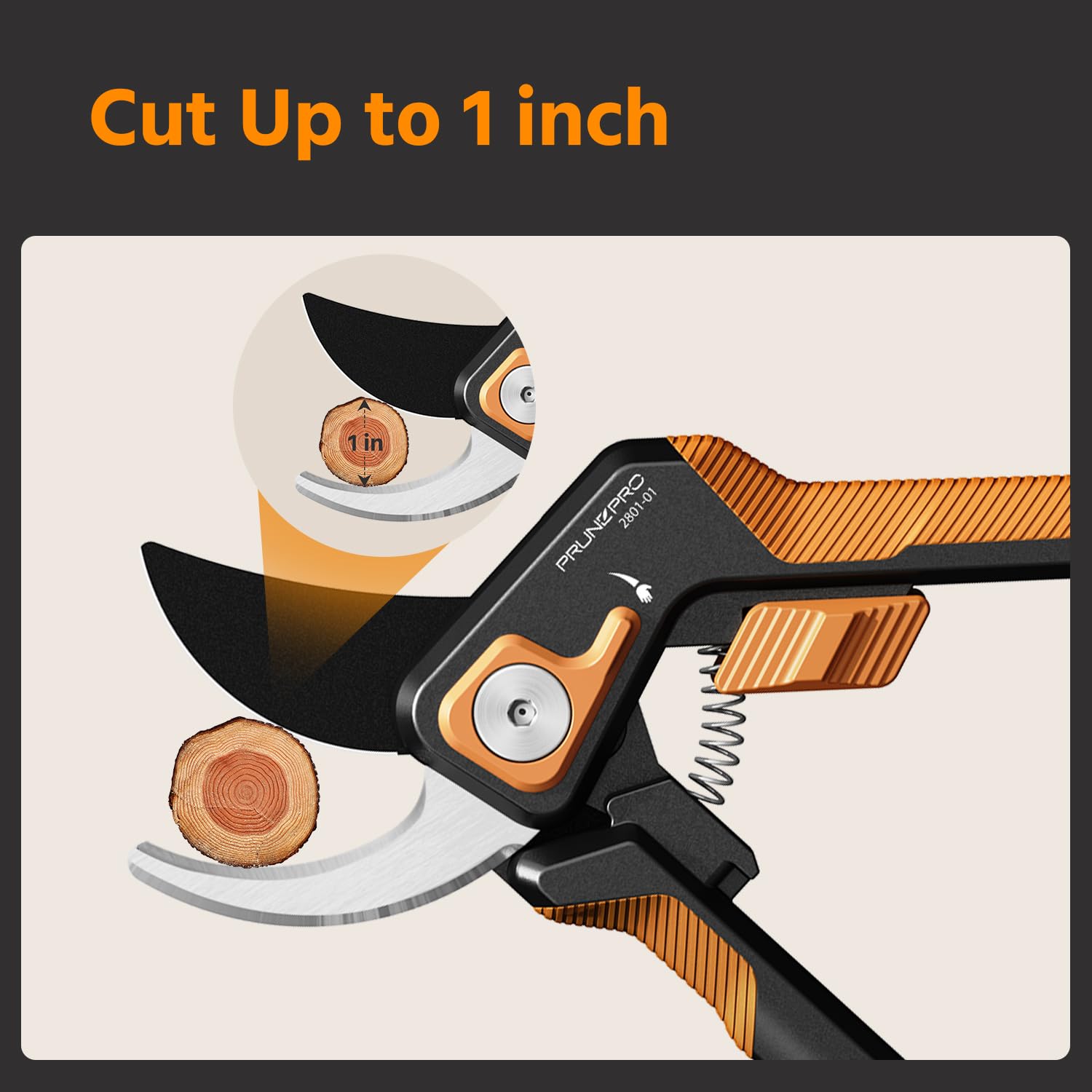 Box packaging for PrunePro pruning shears showcasing product details