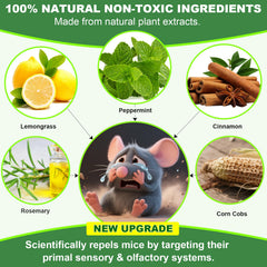 BOZFLY Mouse Repellent packaging with mint scent