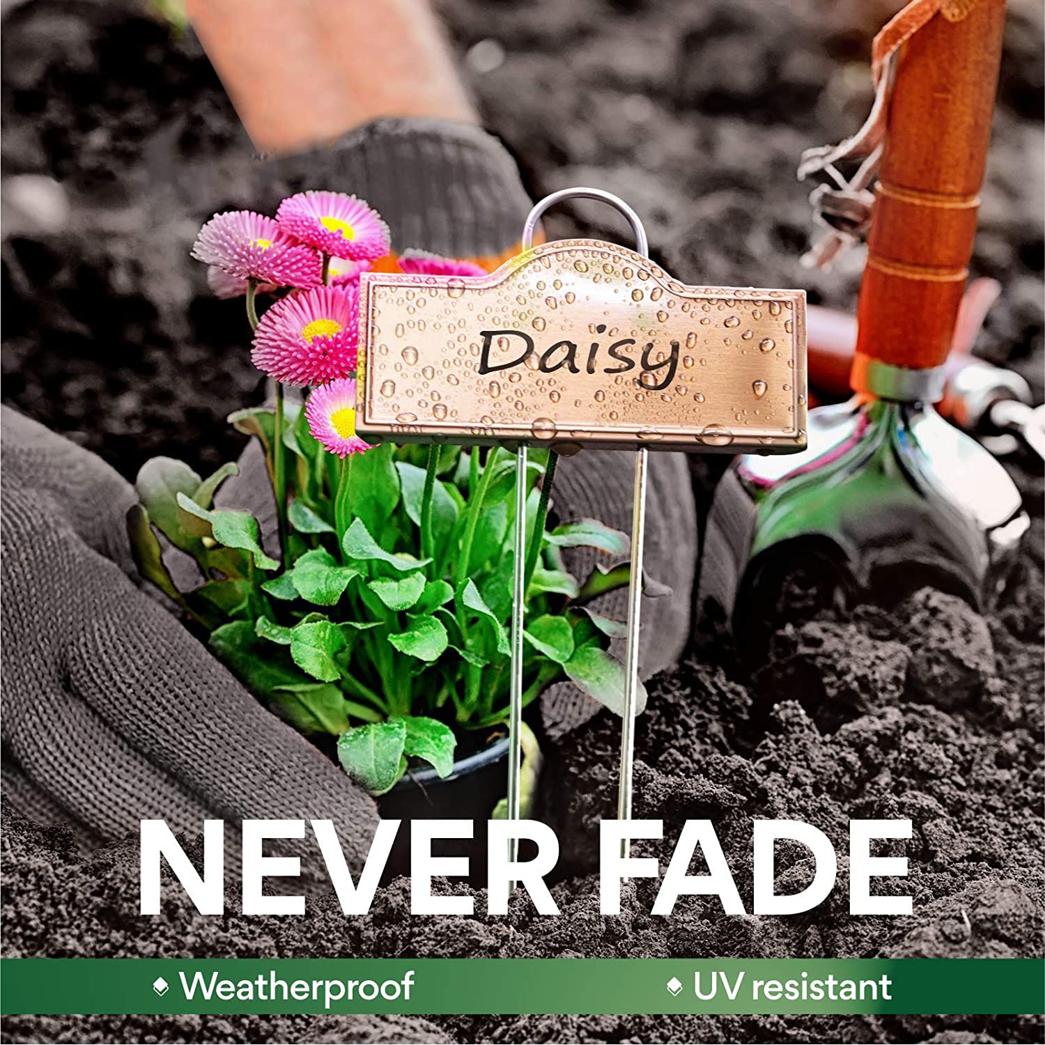 Bravex plant labels in a garden setting