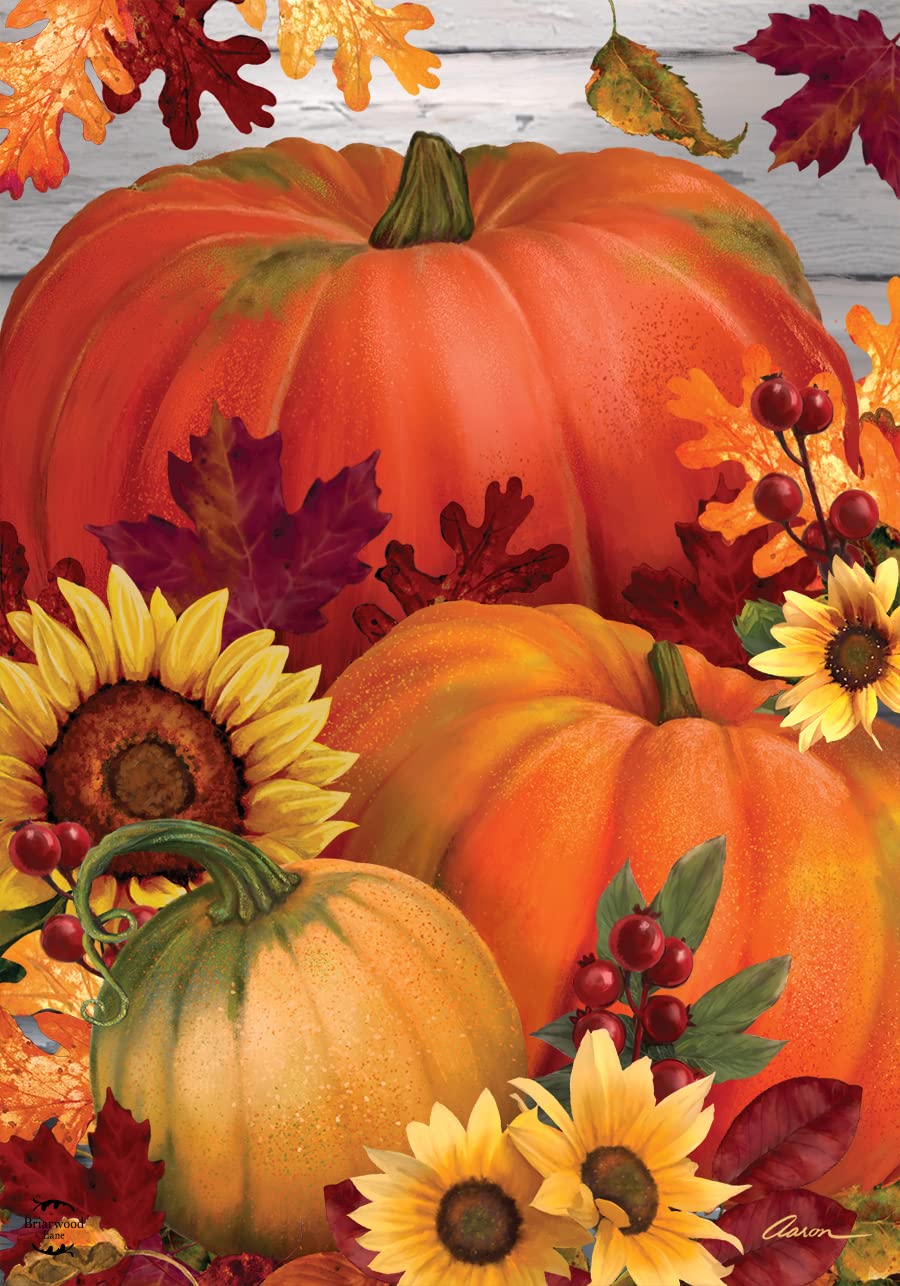 Briarwood Lane Fall Garden Flag showing vibrant double-sided image
