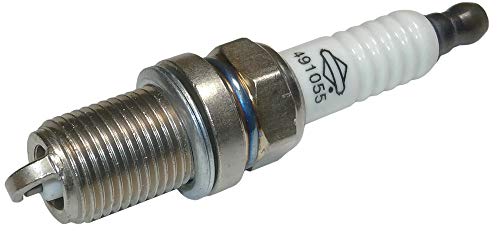 Briggs & Stratton 491055T spark plug side view