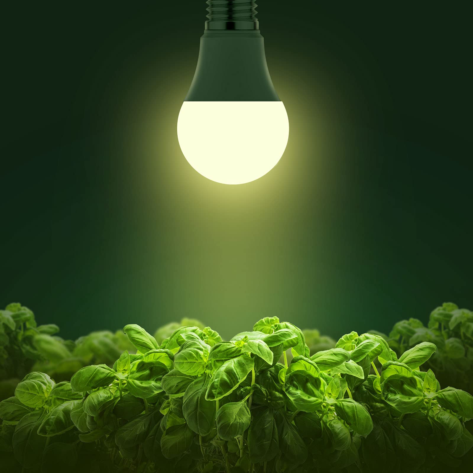 Briignite A19 grow light bulb packaging