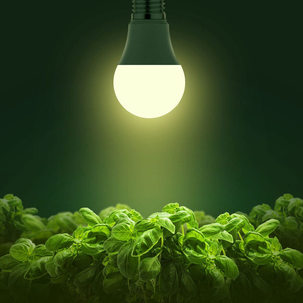Briignite A19 grow light bulb packaging