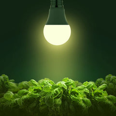 Briignite A19 grow light bulb with warm white light