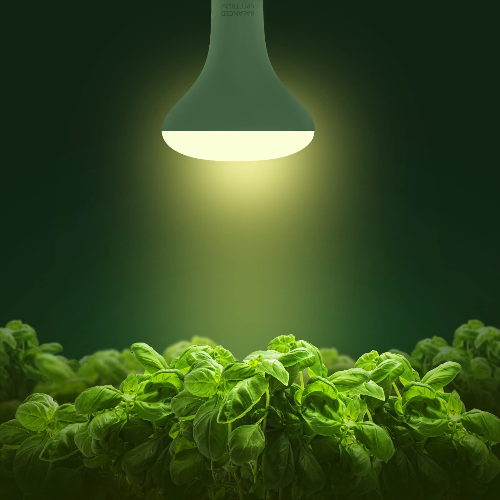 Briignite BR30 LED Grow Light Bulb in packaging