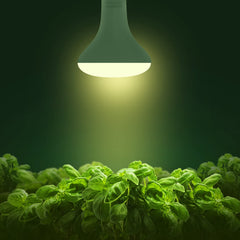 Briignite BR30 LED Grow Light Bulb in packaging