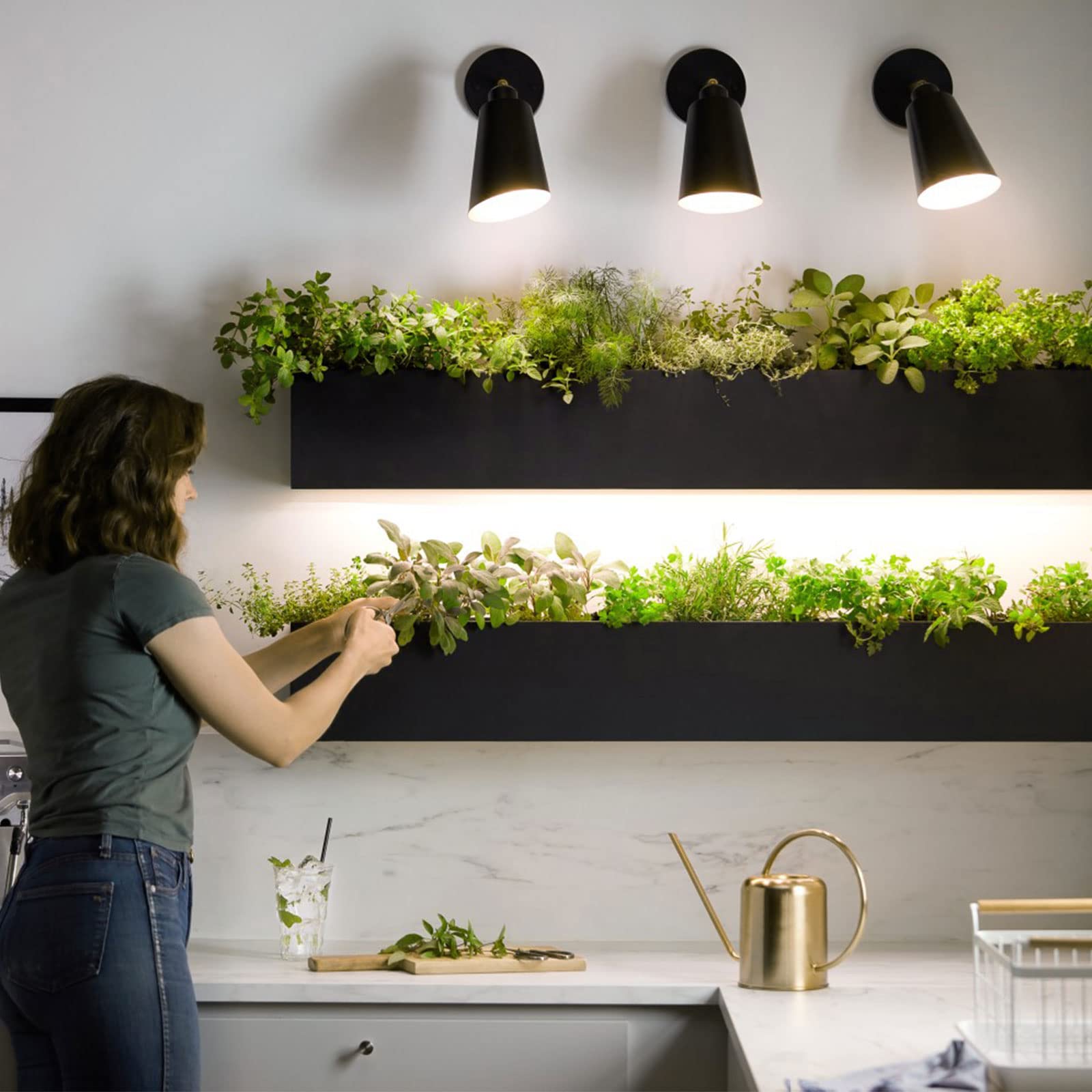 Briignite BR30 LED Grow Light Bulb on a plant shelf