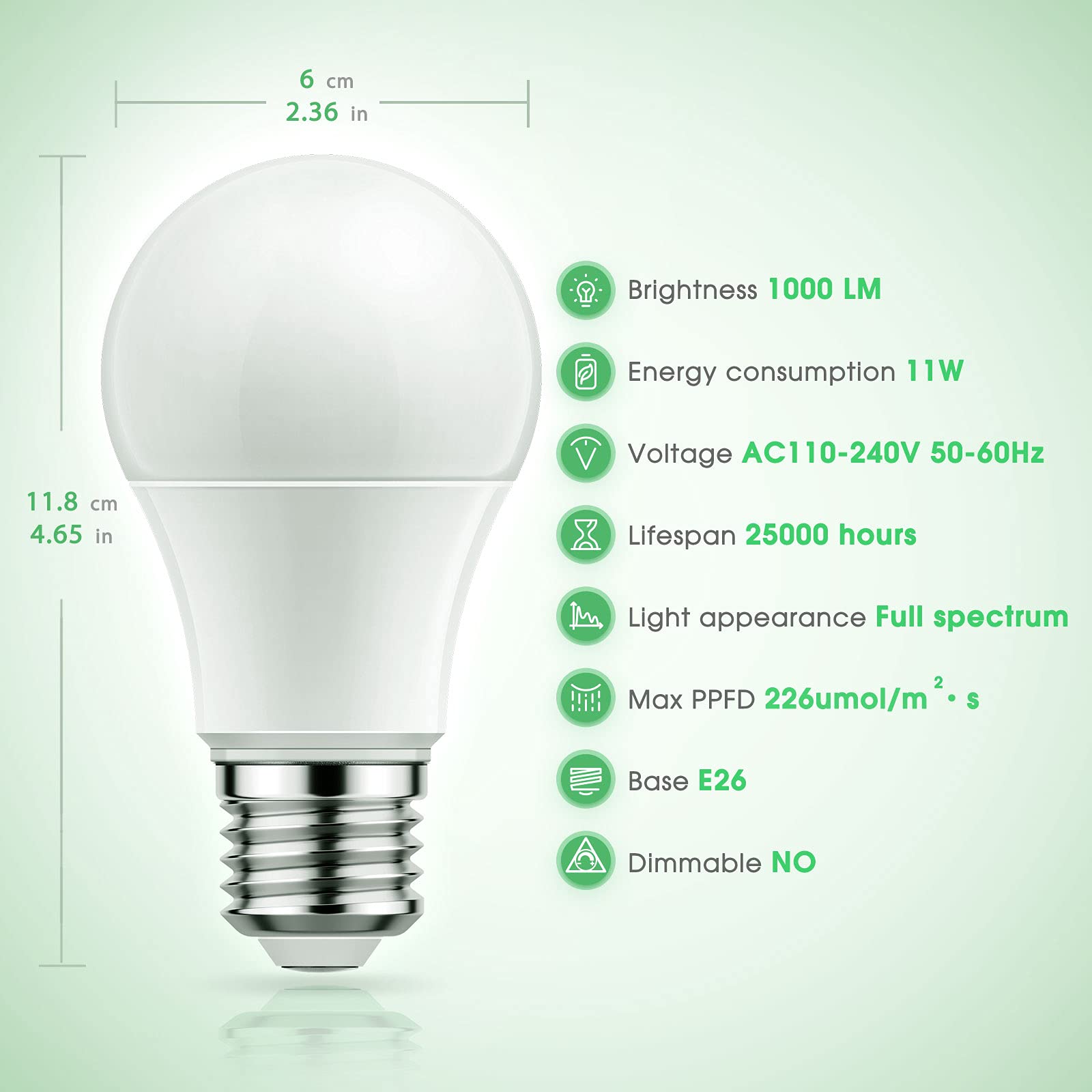 Briignite Grow Light Bulb close-up with natural light