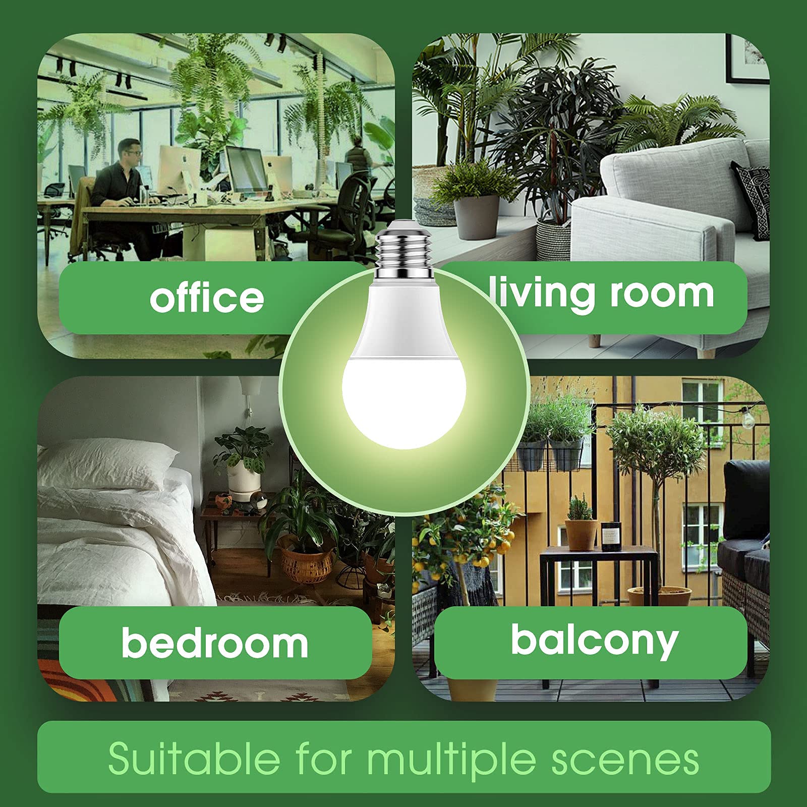Briignite grow light bulb in use with indoor plants