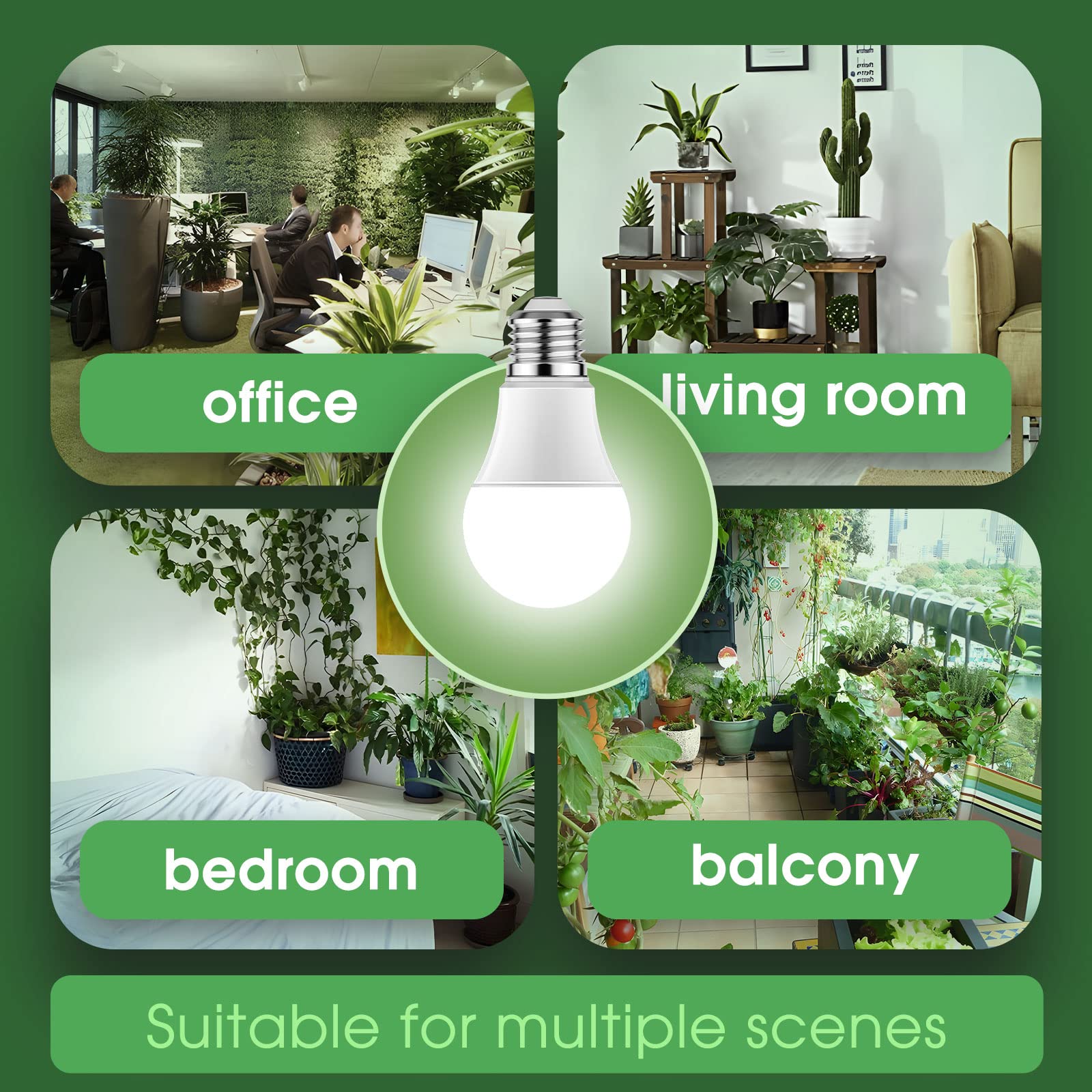 Briignite Grow Light Bulb packaging and specifications