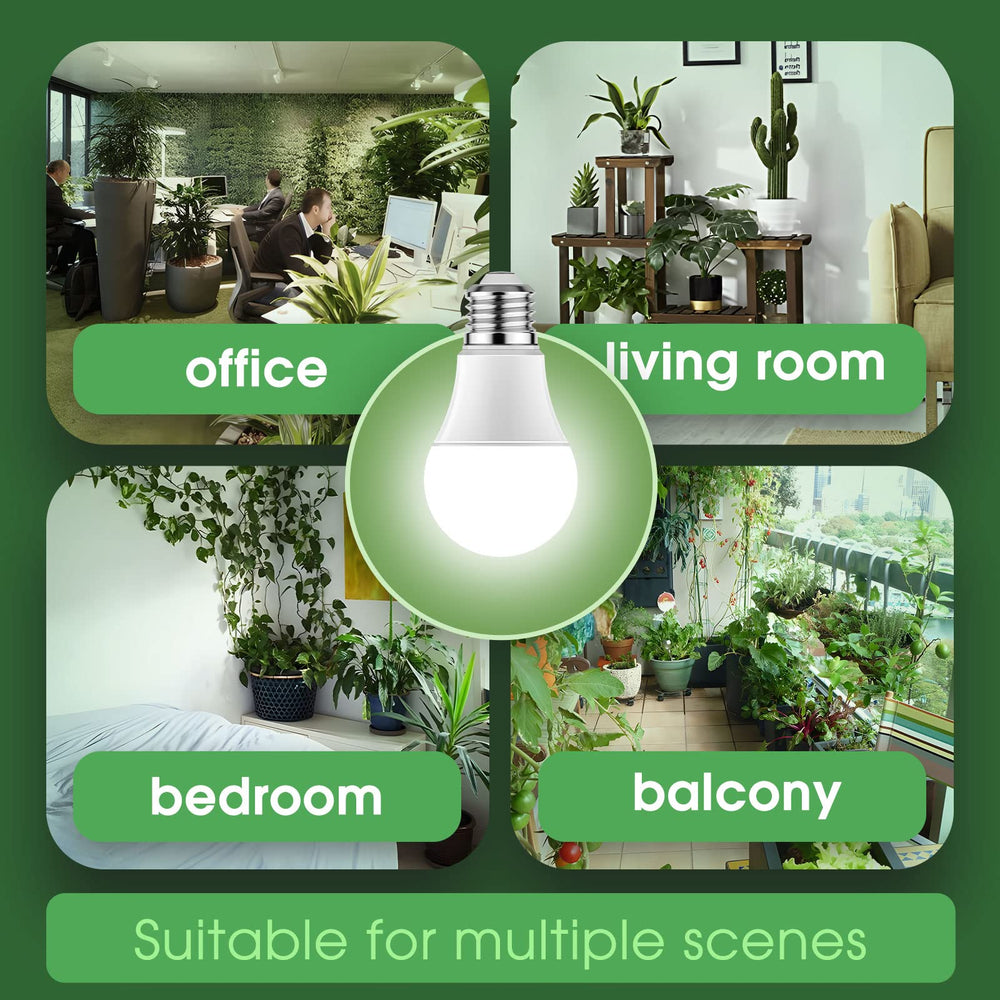 Briignite Grow Light Bulb packaging and specifications
