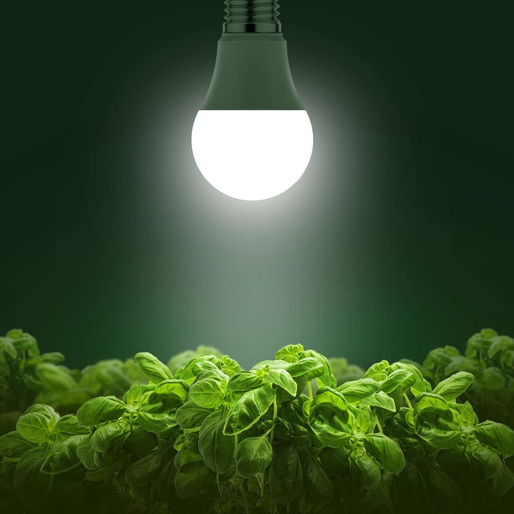 Briignite Grow Light Bulbs set of four in a row
