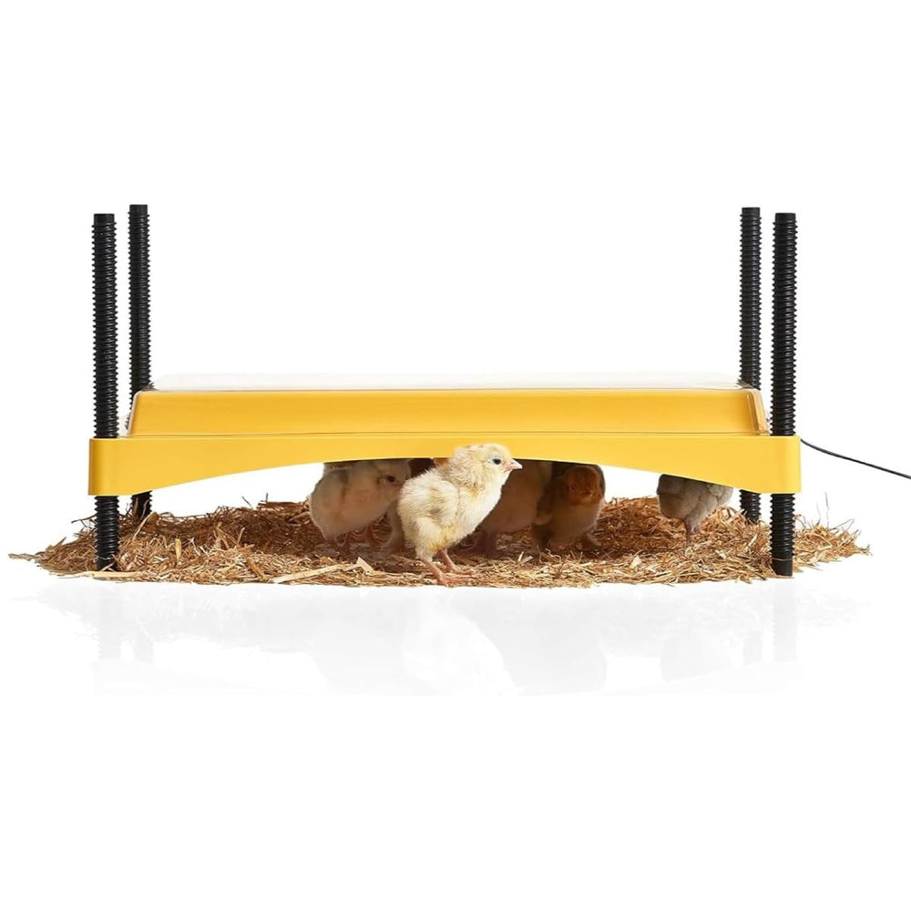 Brinsea Ecoglow Safety 1200 chick brooder front view, yellow and black