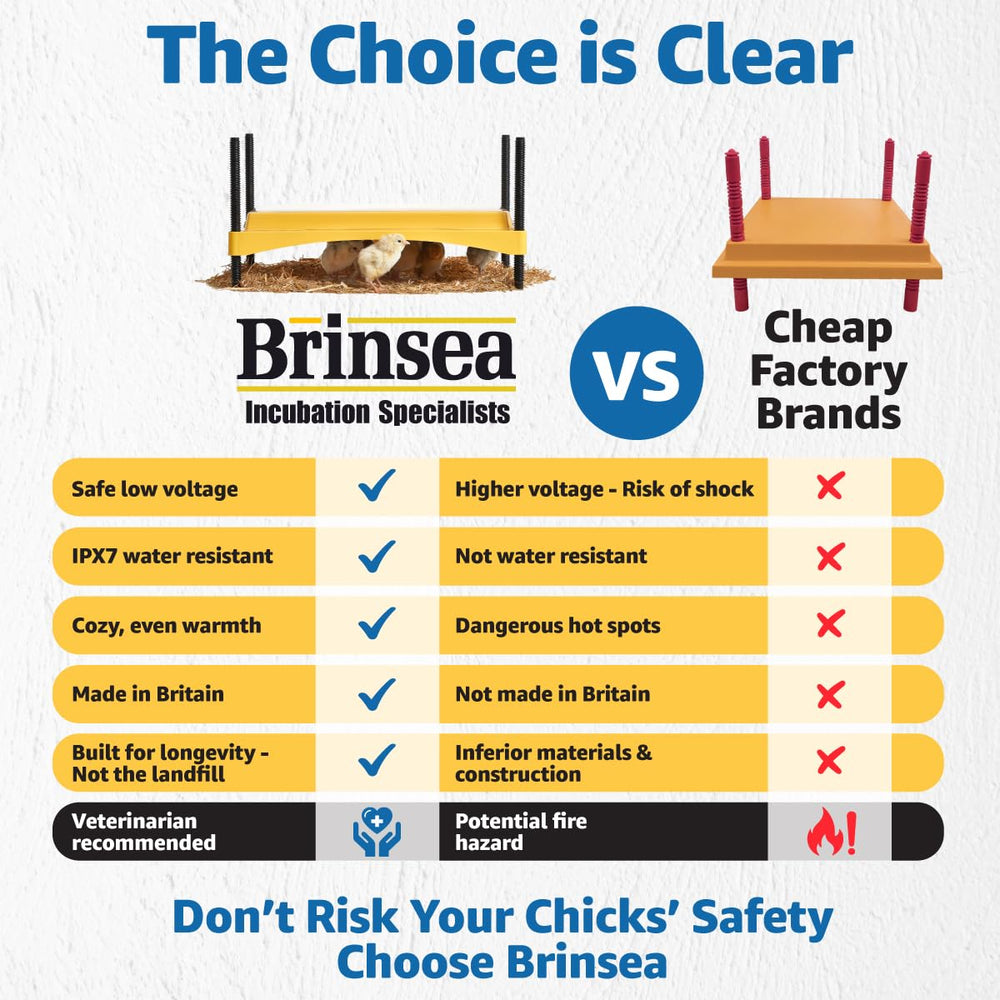 Brinsea Ecoglow Safety 1200 chick brooder in use with ducklings