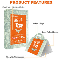 Briteen Moth Trap opened and ready for use