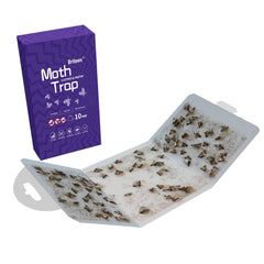Briteen moth trap placed in a pantry
