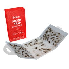 Briteen Moth Traps placed in a pantry setting