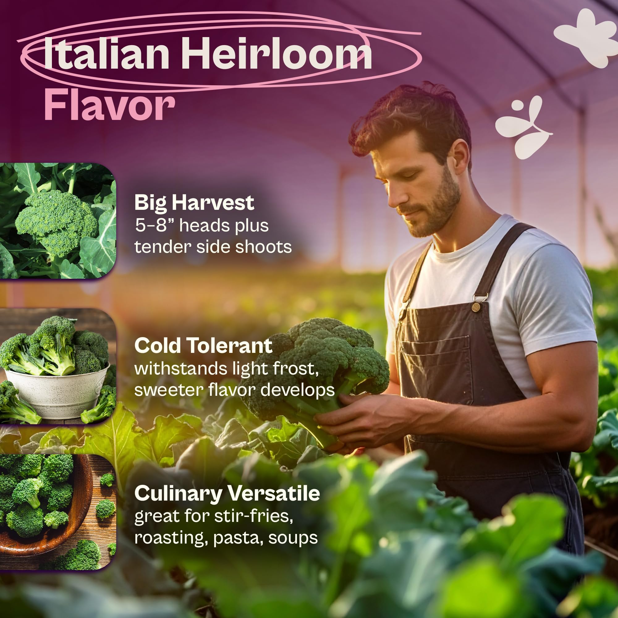 Broccoli seeds with planting instructions