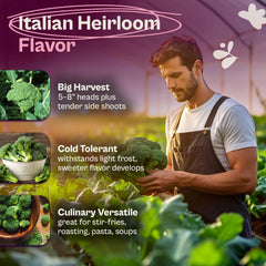 Broccoli seeds with planting instructions