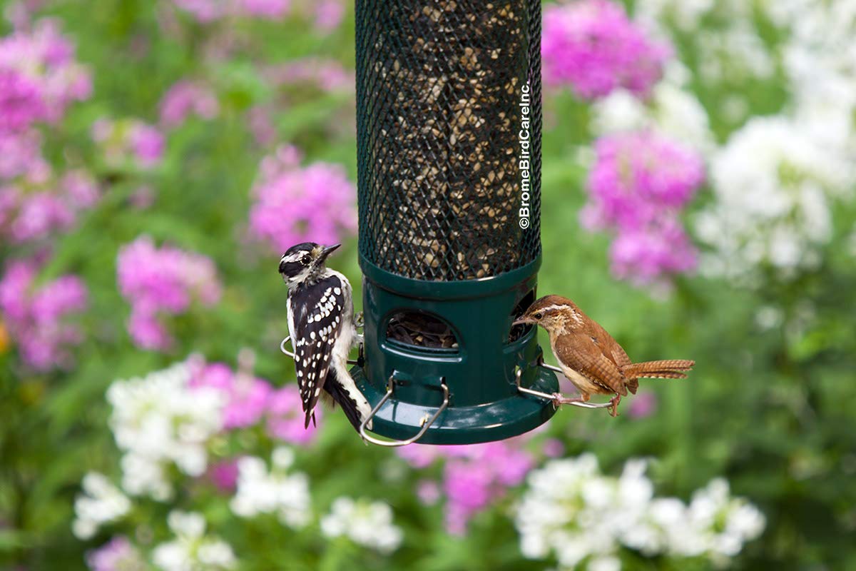 Brome Squirrel Buster Legacy Bird Feeder close-up of weight adjustment mechanism