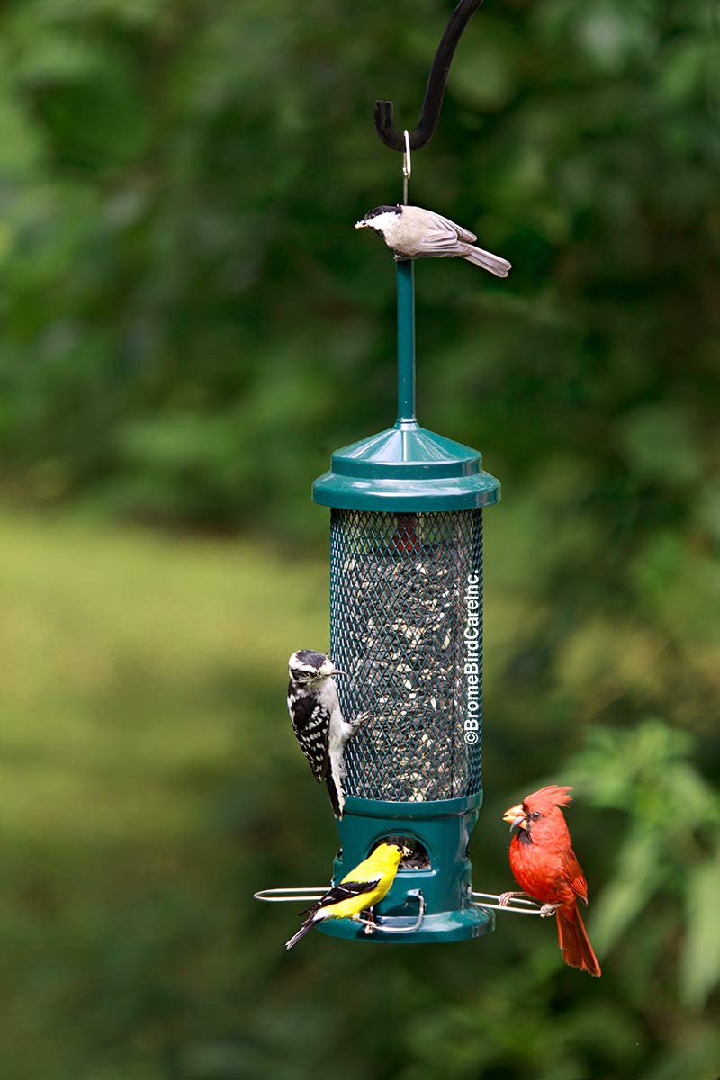 Brome Squirrel Buster Legacy Bird Feeder filled with sunflower seeds