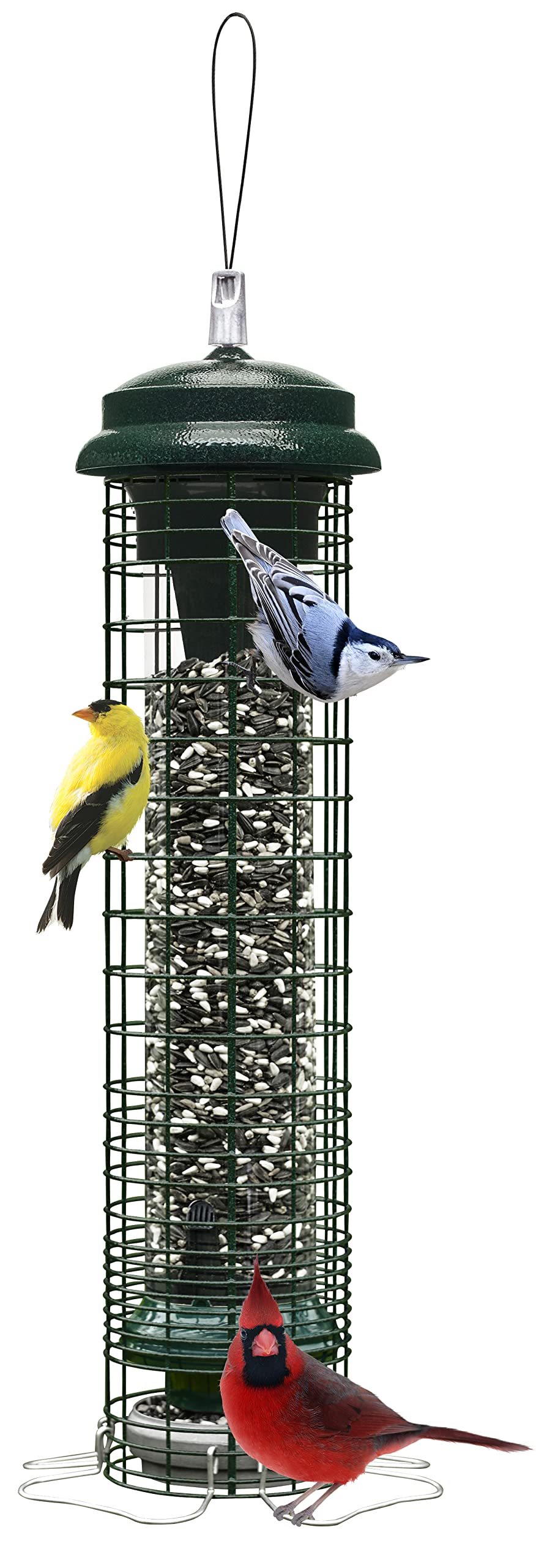 Brome Squirrel Solution 150 Bird Feeder green model front view