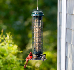 Brome Squirrel Solution 150 Bird Feeder with included seed funnel