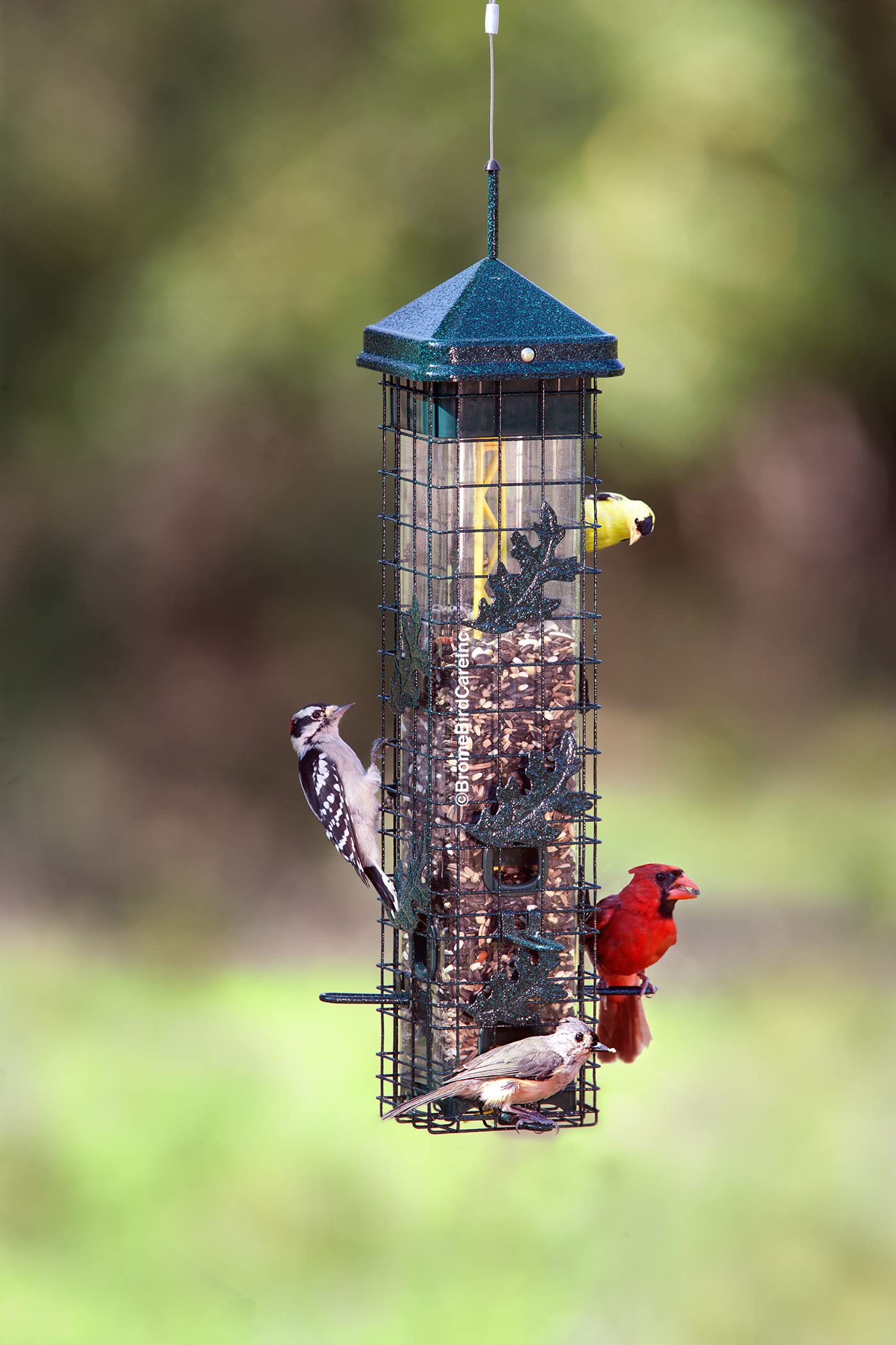 Brome Squirrel Solution 200 feeder in a garden setting